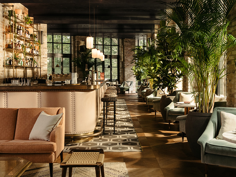 Bar with comfortable lounge seating and large plants