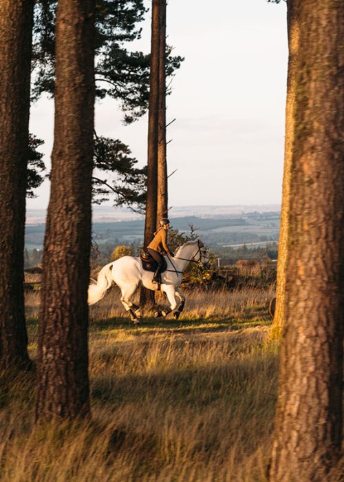 A women rides a white horse in the middle of tall trees in a moody landscape in Scotland