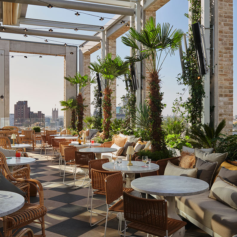 A beautiful rooftop terrace with seating and tall plants, with a clear blue sky background